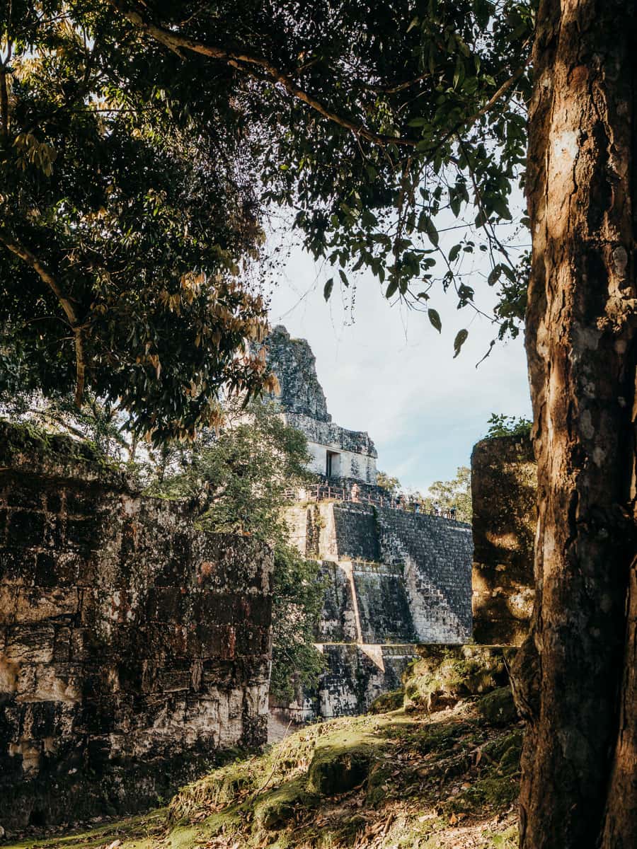Tikal Temple from in between the trees