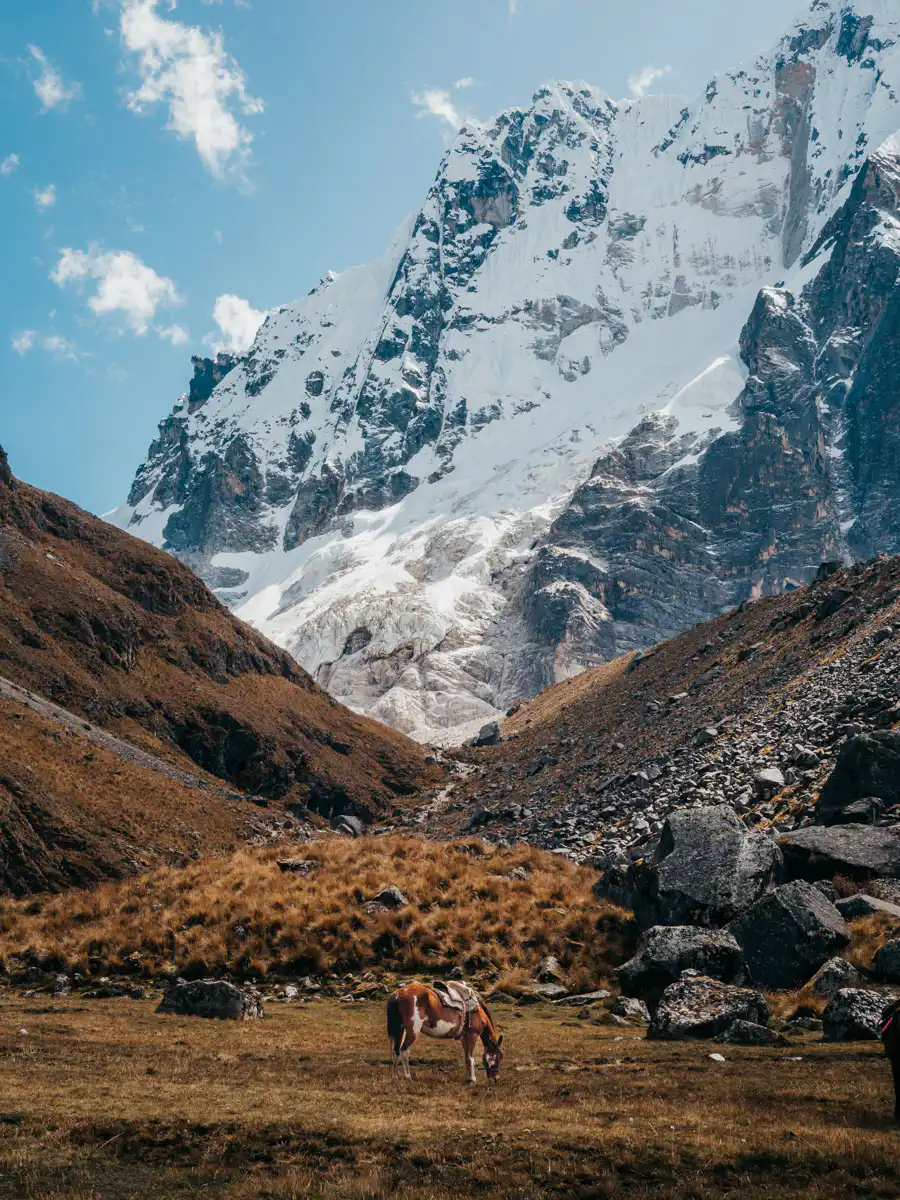 horse on the salkantay trail