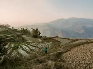 View of the rice terraces in the Ha Giang Loop