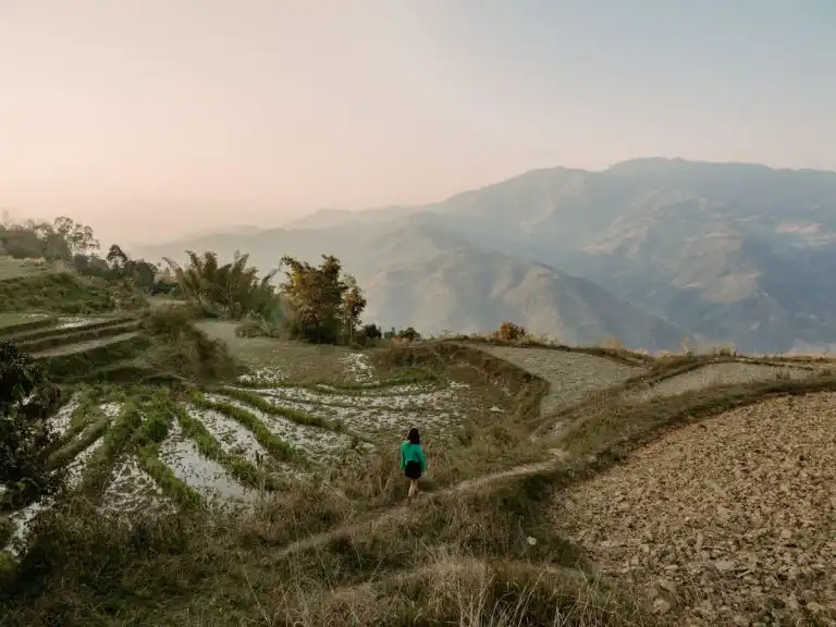 View of the rice terraces in the Ha Giang Loop