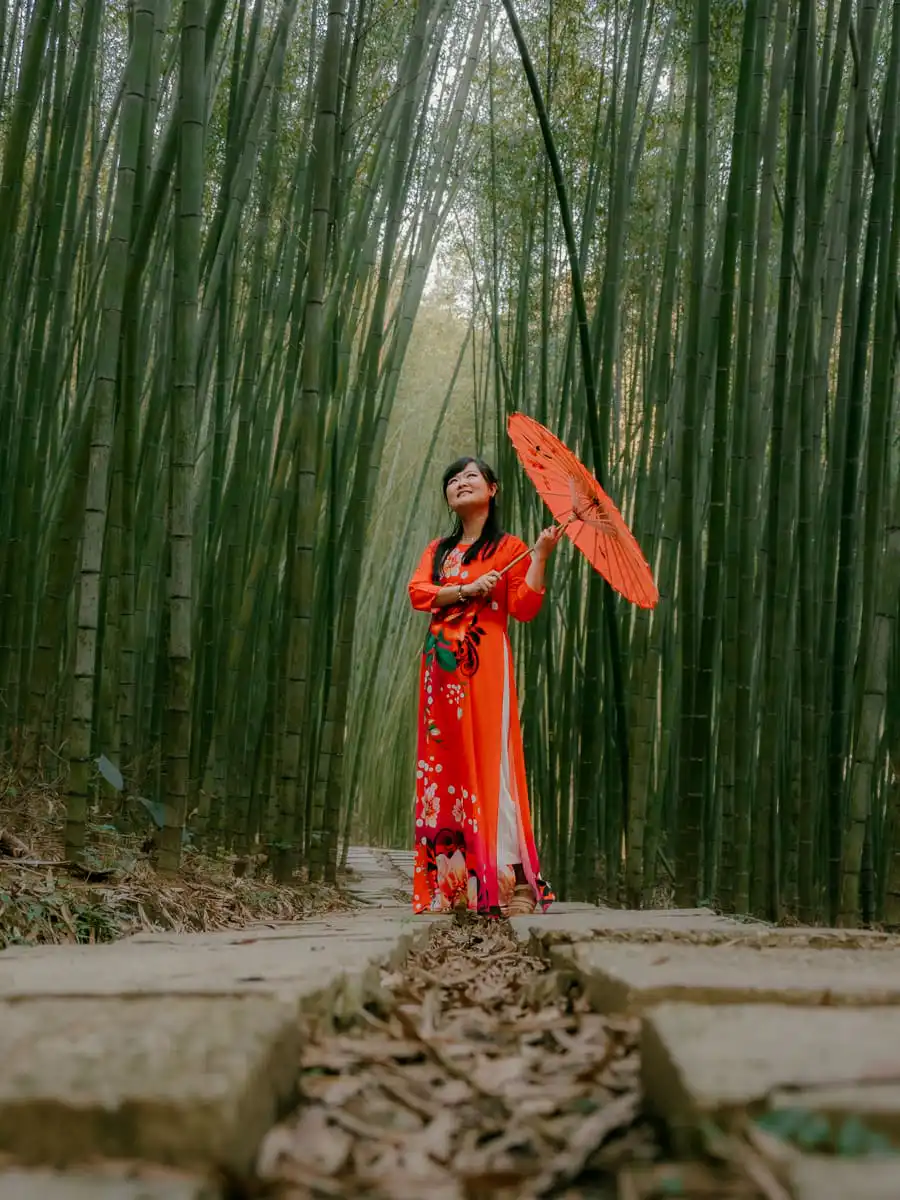 Vietnam Bamboo forest