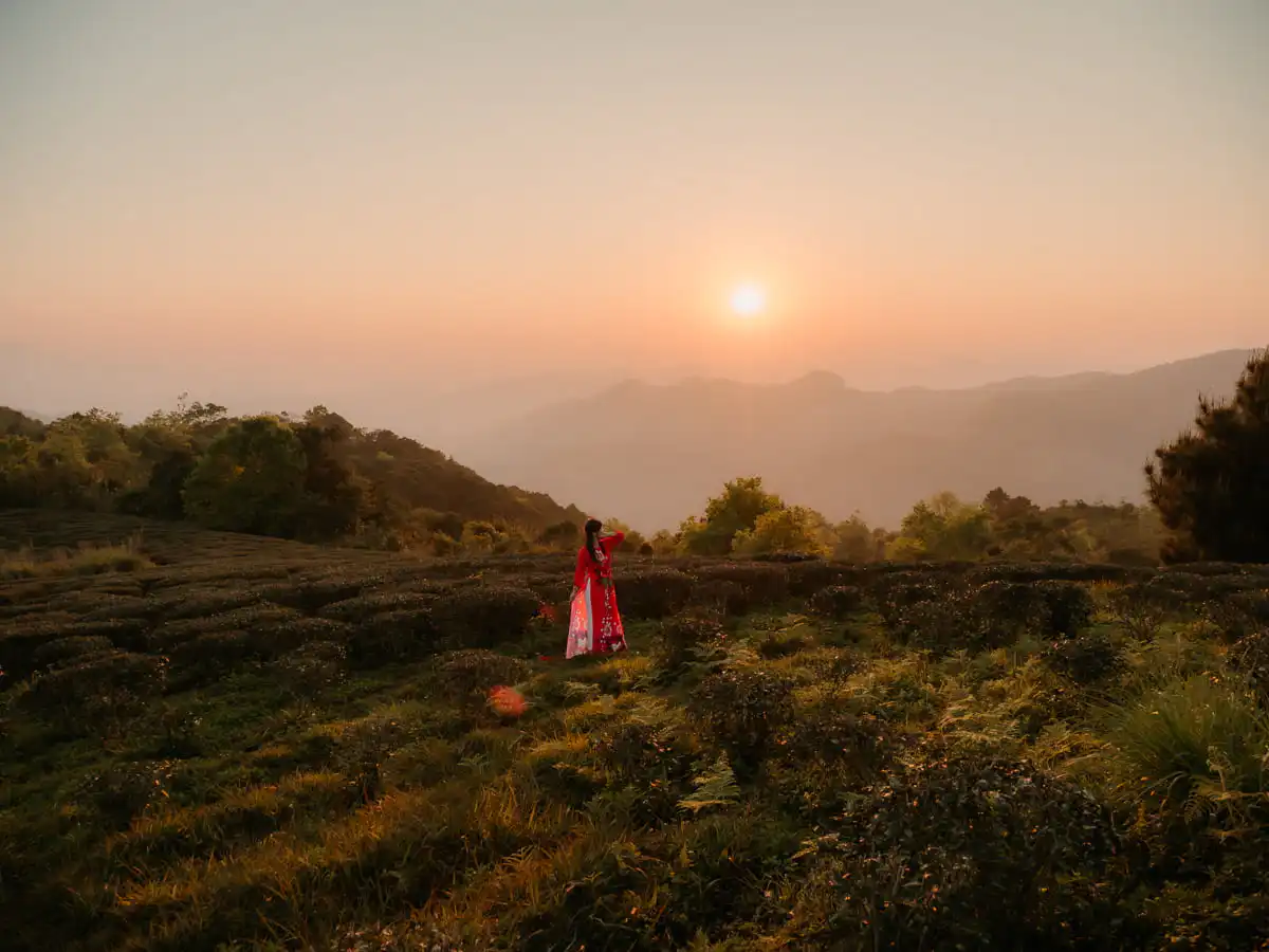 sunset at Kolia farm