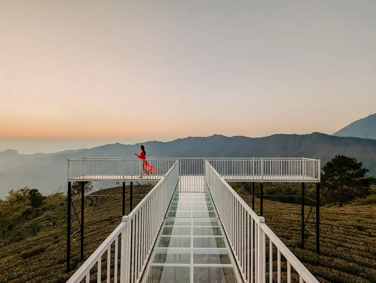 viewpoint at Kolia Farm