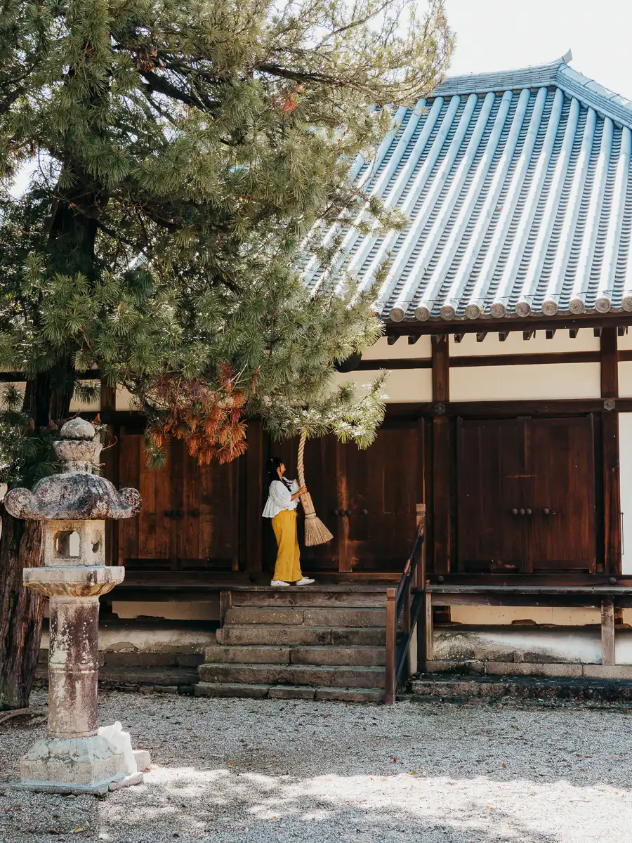 temple at nara park