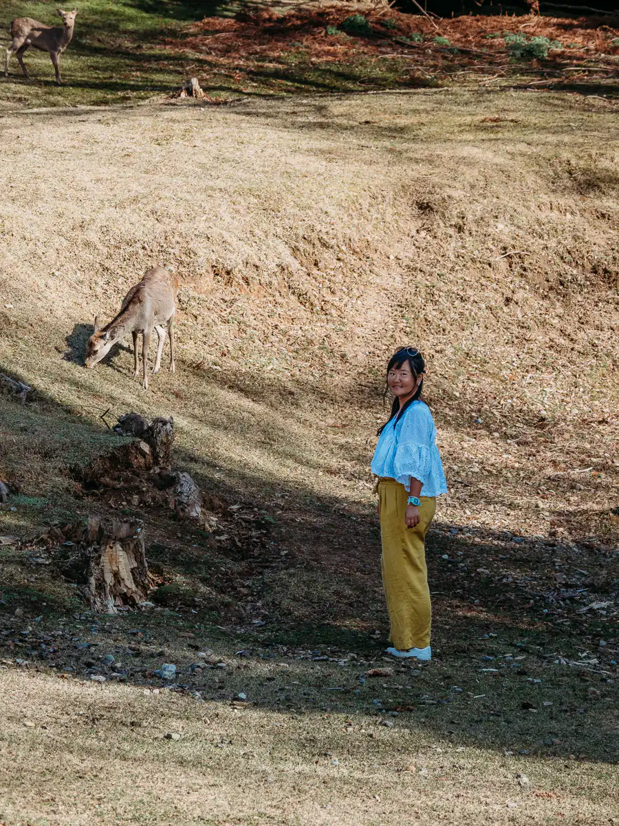 woman standing in the nara park close to the deer