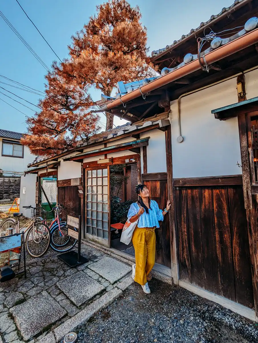 walking in the streets of Nara with old wooden building