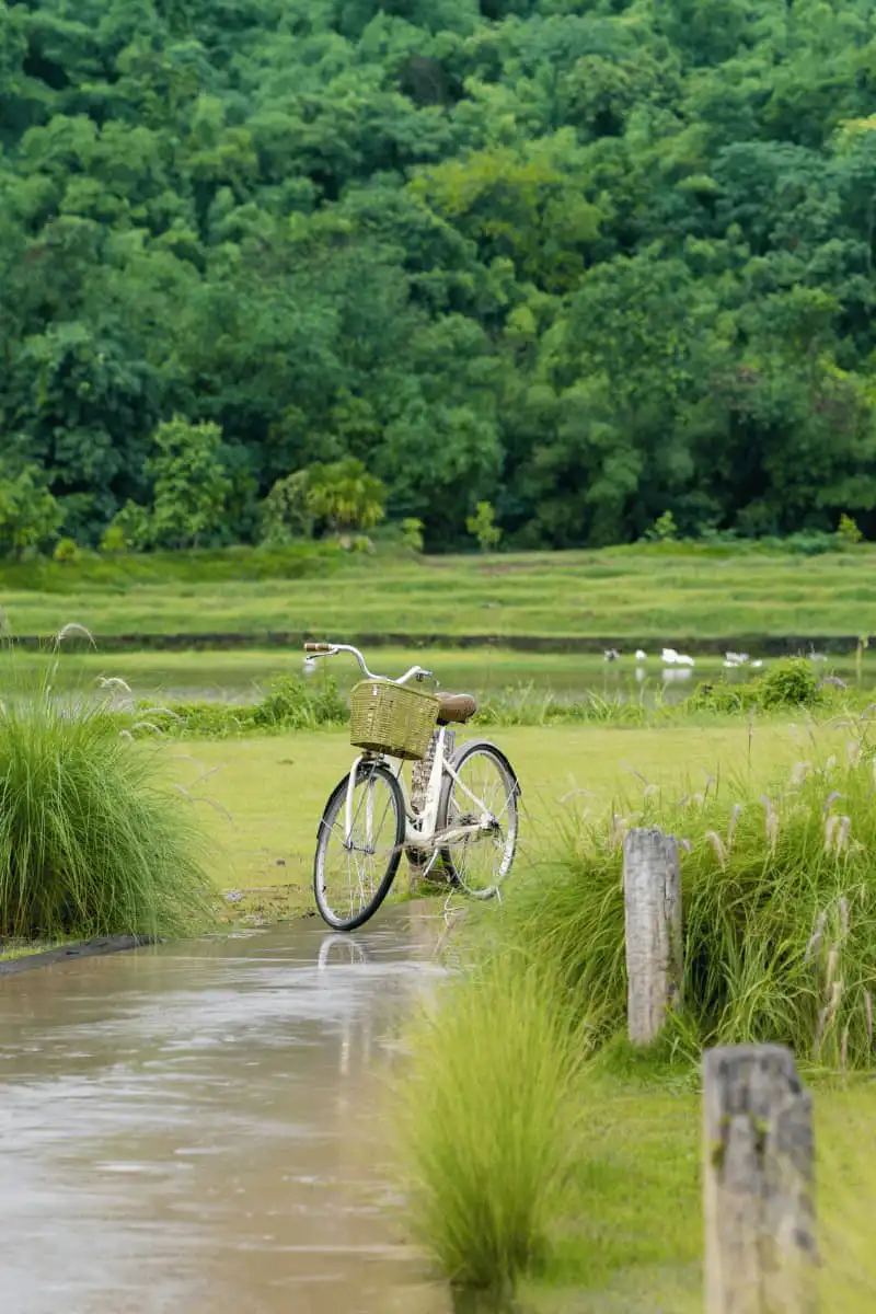 Bicycle on the countryside of Hoi An