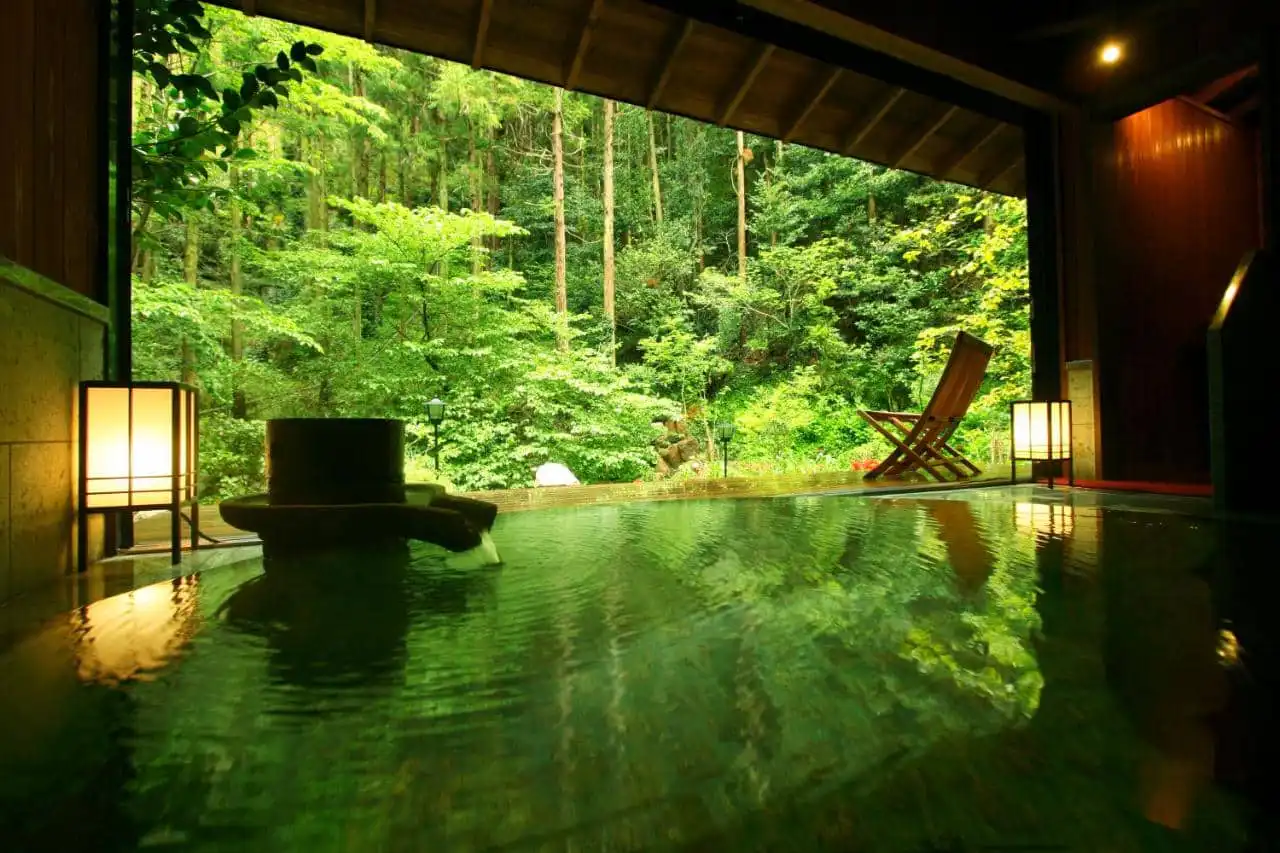 Onsen with forest and outdoor onsen view