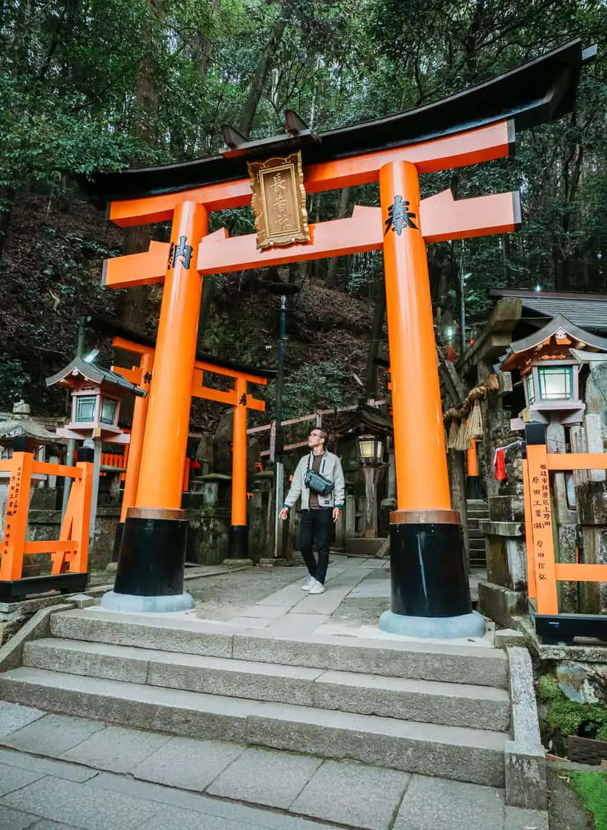 man standing in front of tori gates in forest