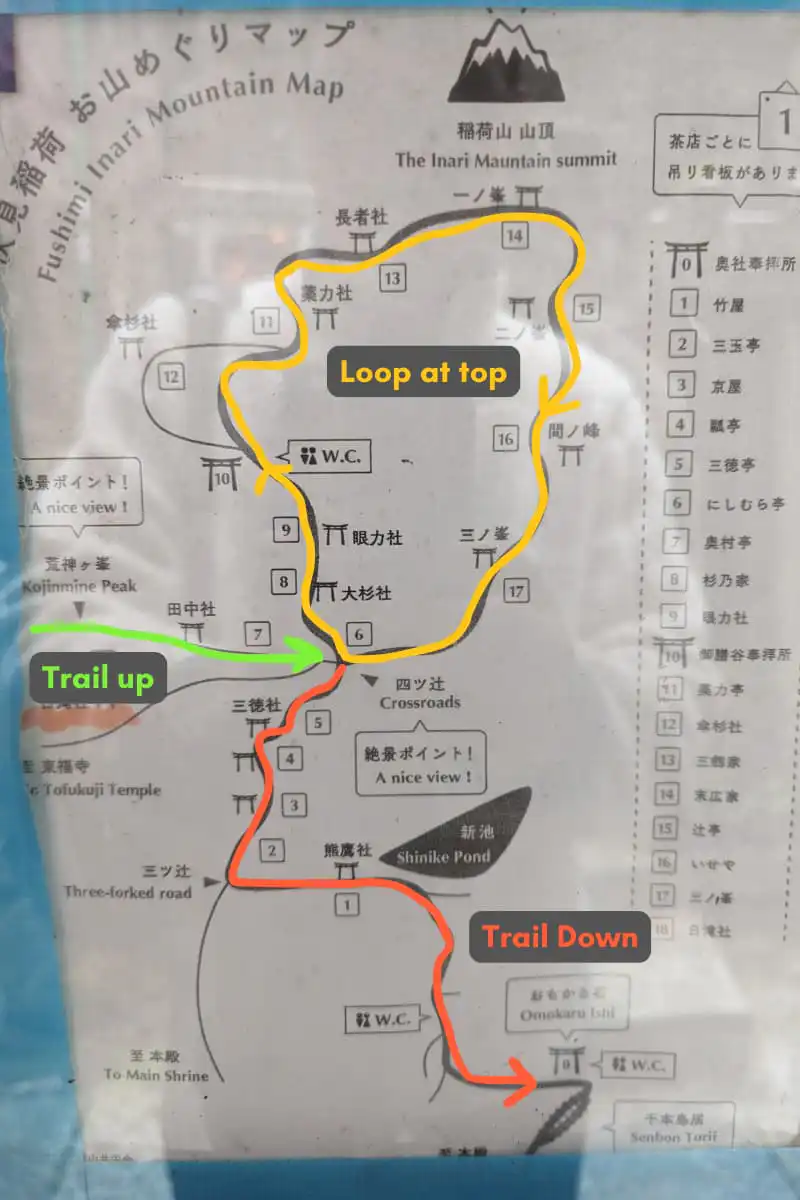 loop trail at the top of Fushimi Inarii