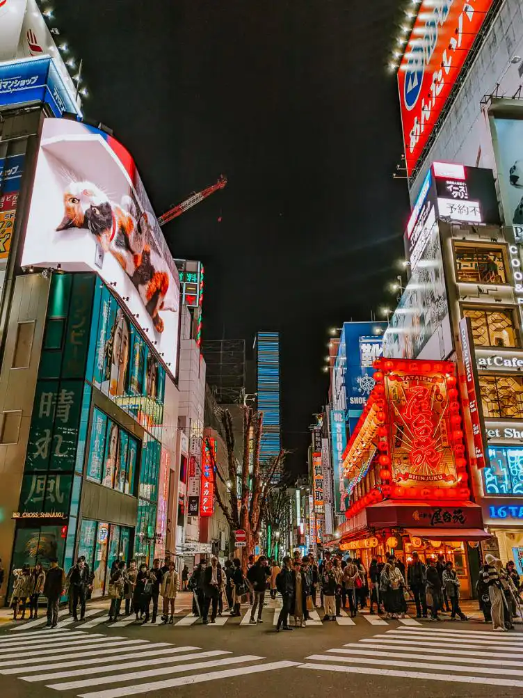 walking at night in Tokyo