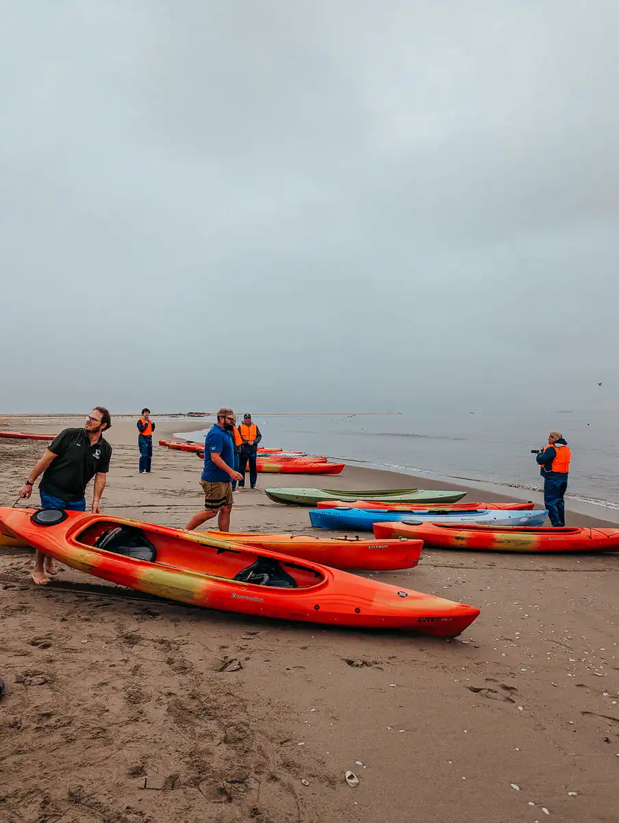 Kayaks preparing to enter the water in Pelican Point