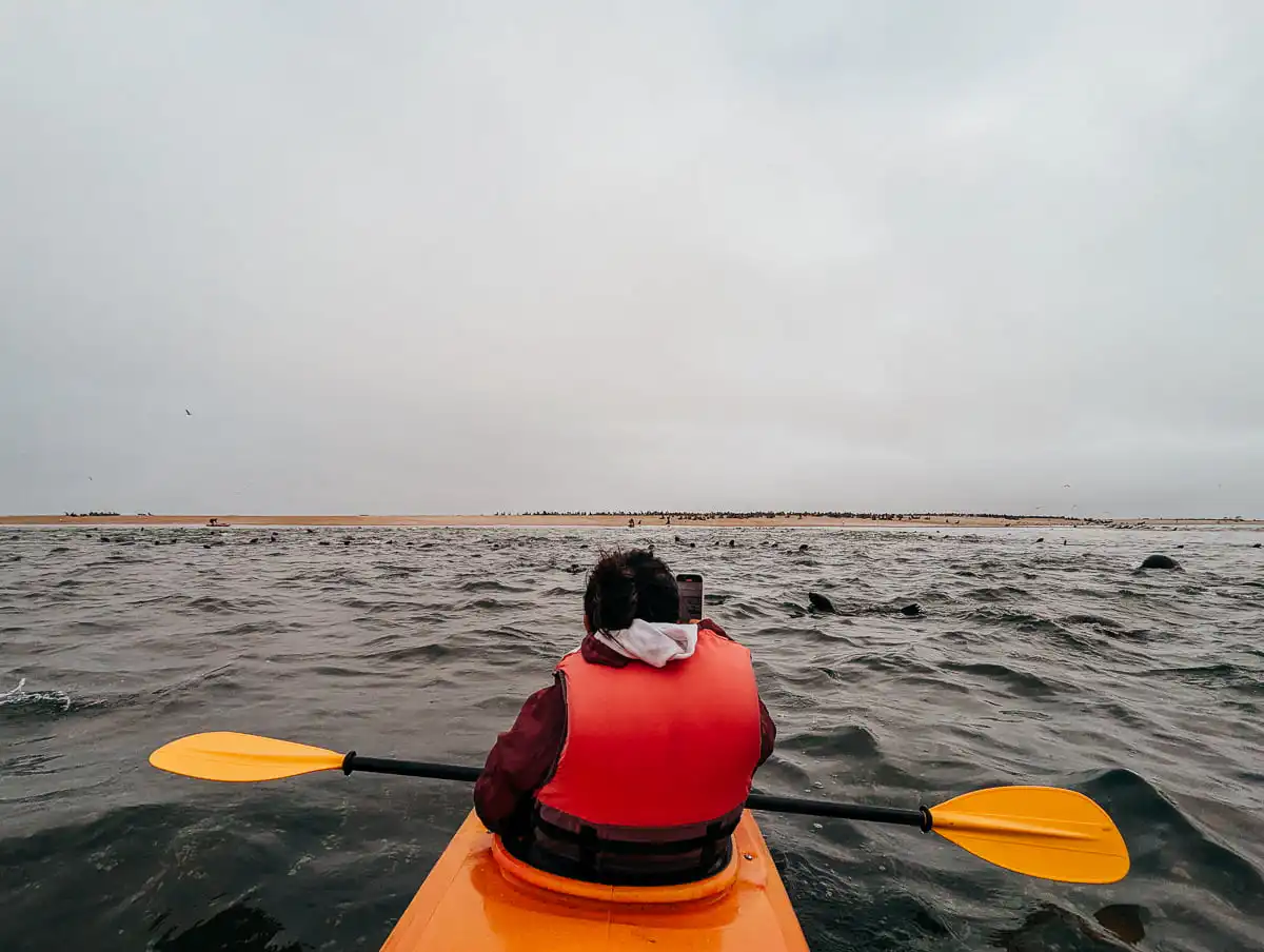 Watching the seal colony from our kayak, one of the best things to do in Swakopmund