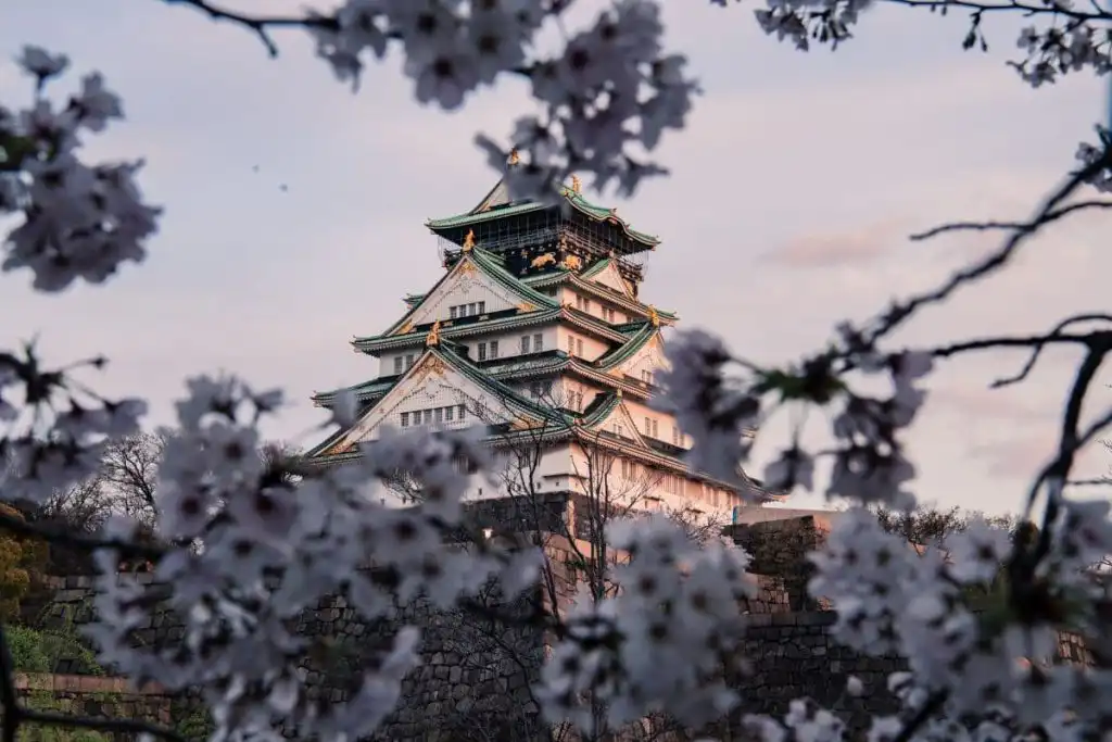 Osaka castle surrounded by cherry blossoms