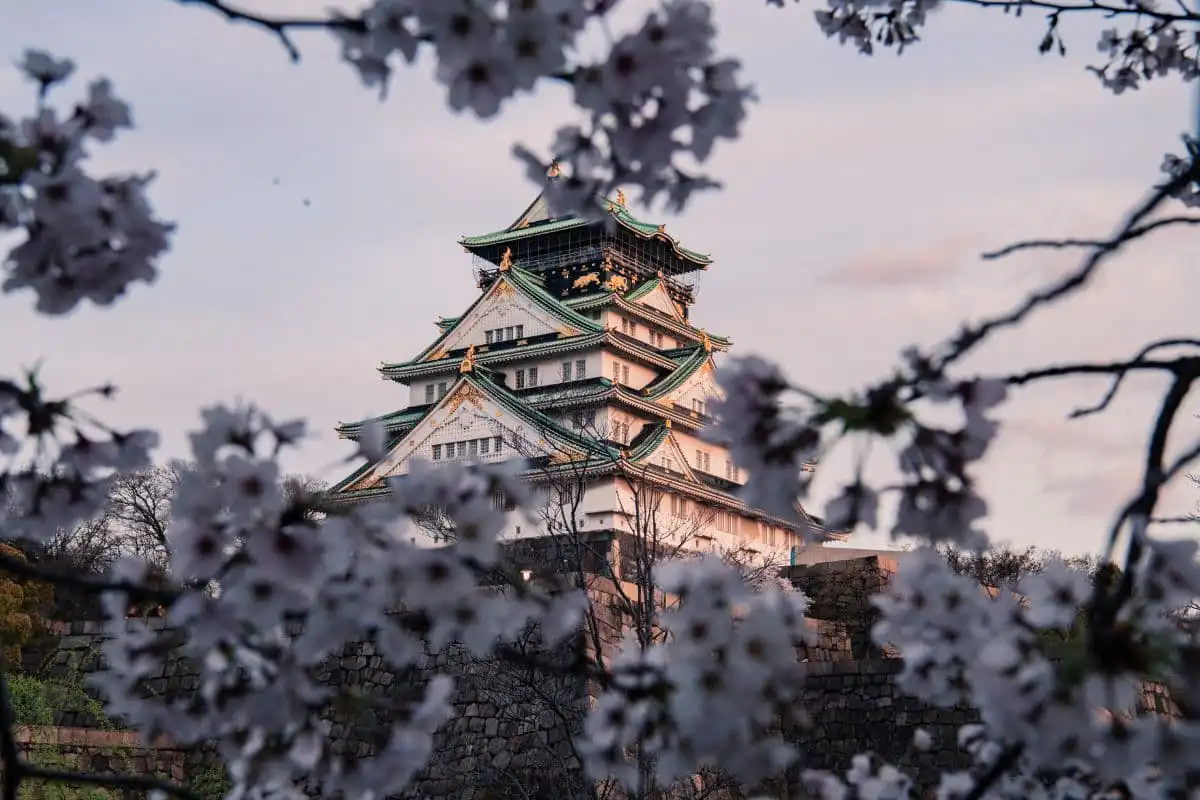 Osaka castle surrounded by cherry blossoms