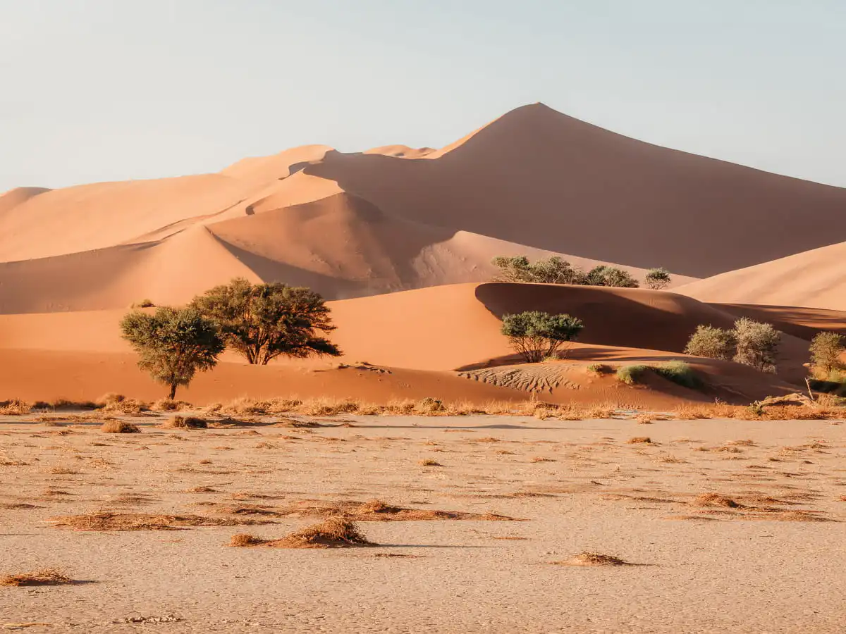 Sossusvlei Dunes