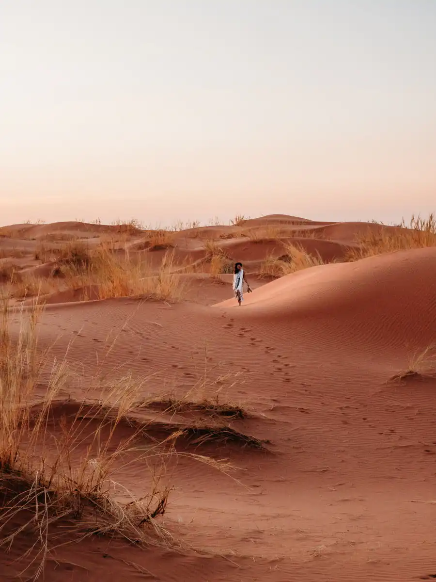 Elim dunes with the grass