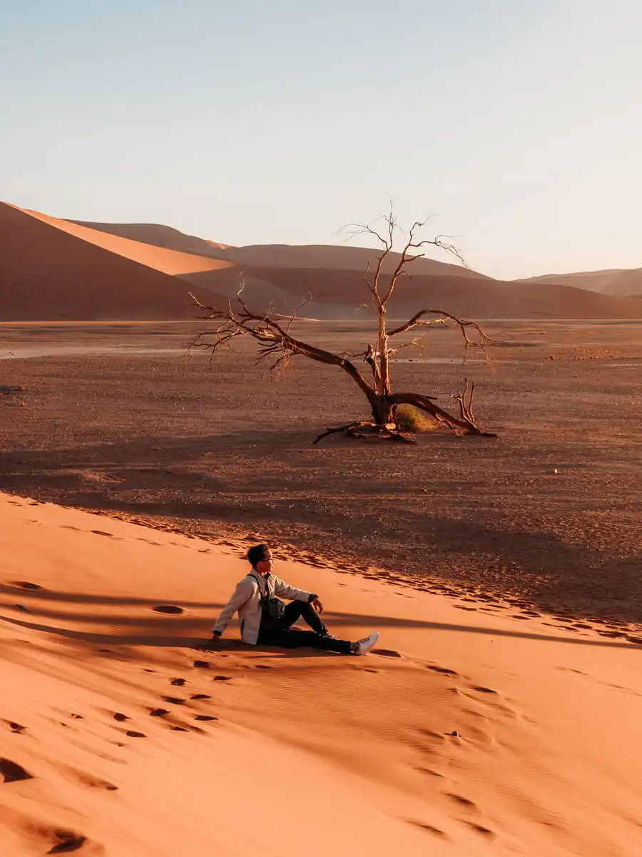 Sitting at the bottom of dune 45 with the tree