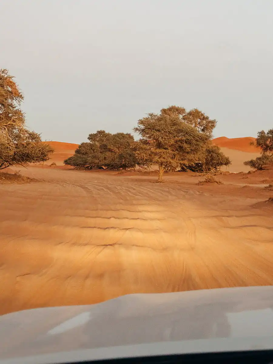 sandy road in sossusvlei