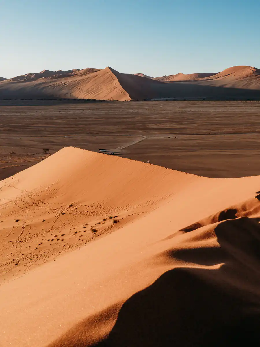 View from Dune 45 with the mountains