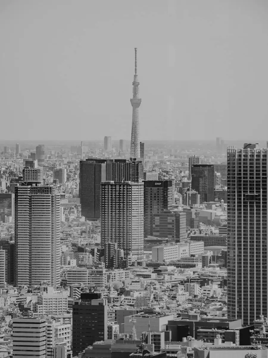 Tokyo skyline as seen from the Metropolitan government building in Tokyo, part of our 10 day Japan travel itinerary