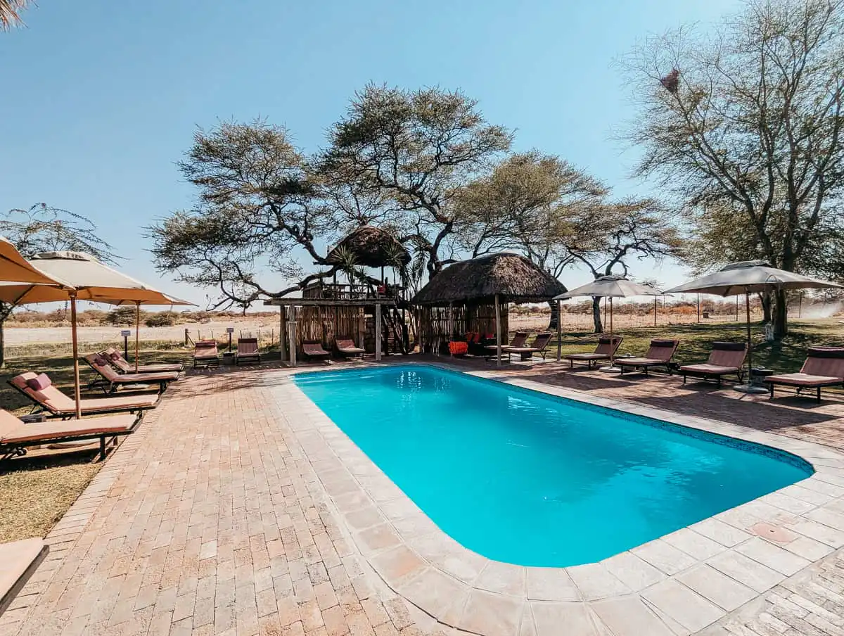 Lounge pool area in Onguma