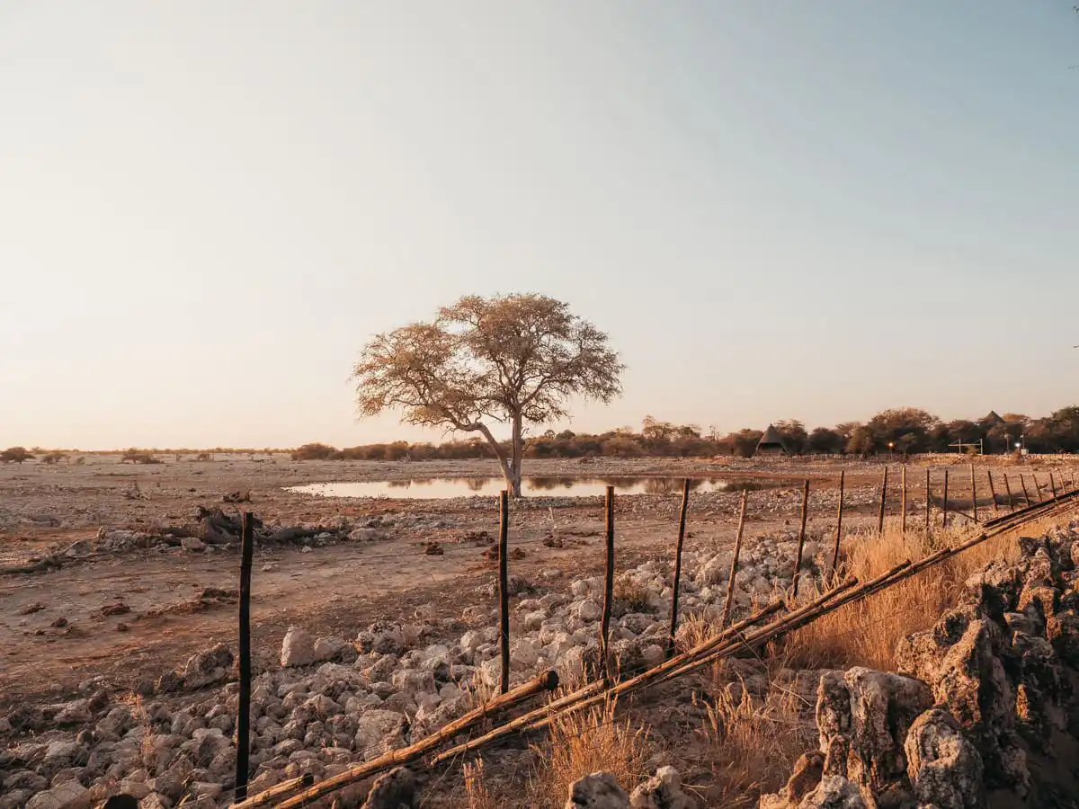 Okaukuejo Waterhole