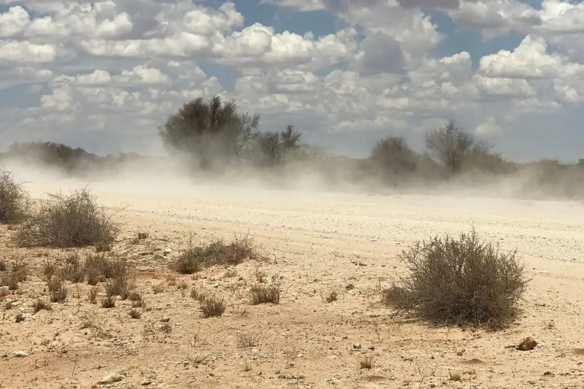 Difficult road conditions in Namibia