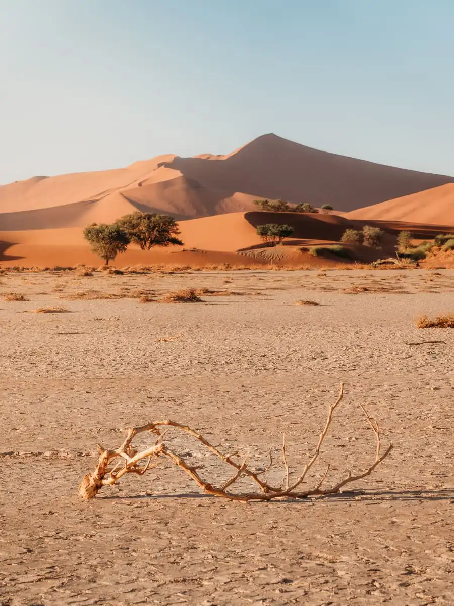 Namibia emptiness with a branch on the clay pan