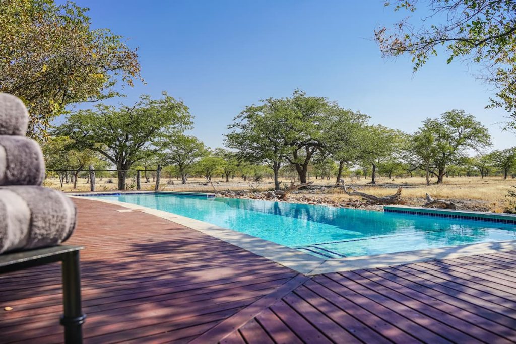 Outdoor pool at Etosha Oberland