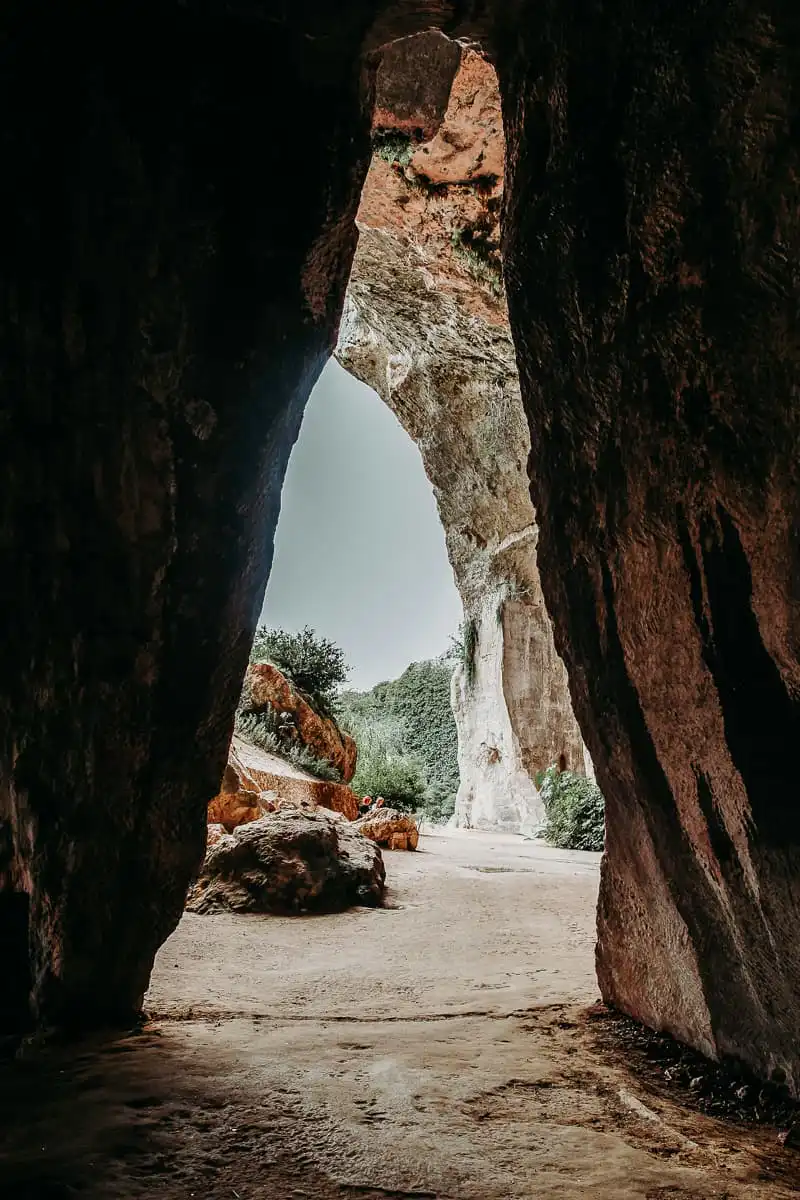 Ear of Dionysus