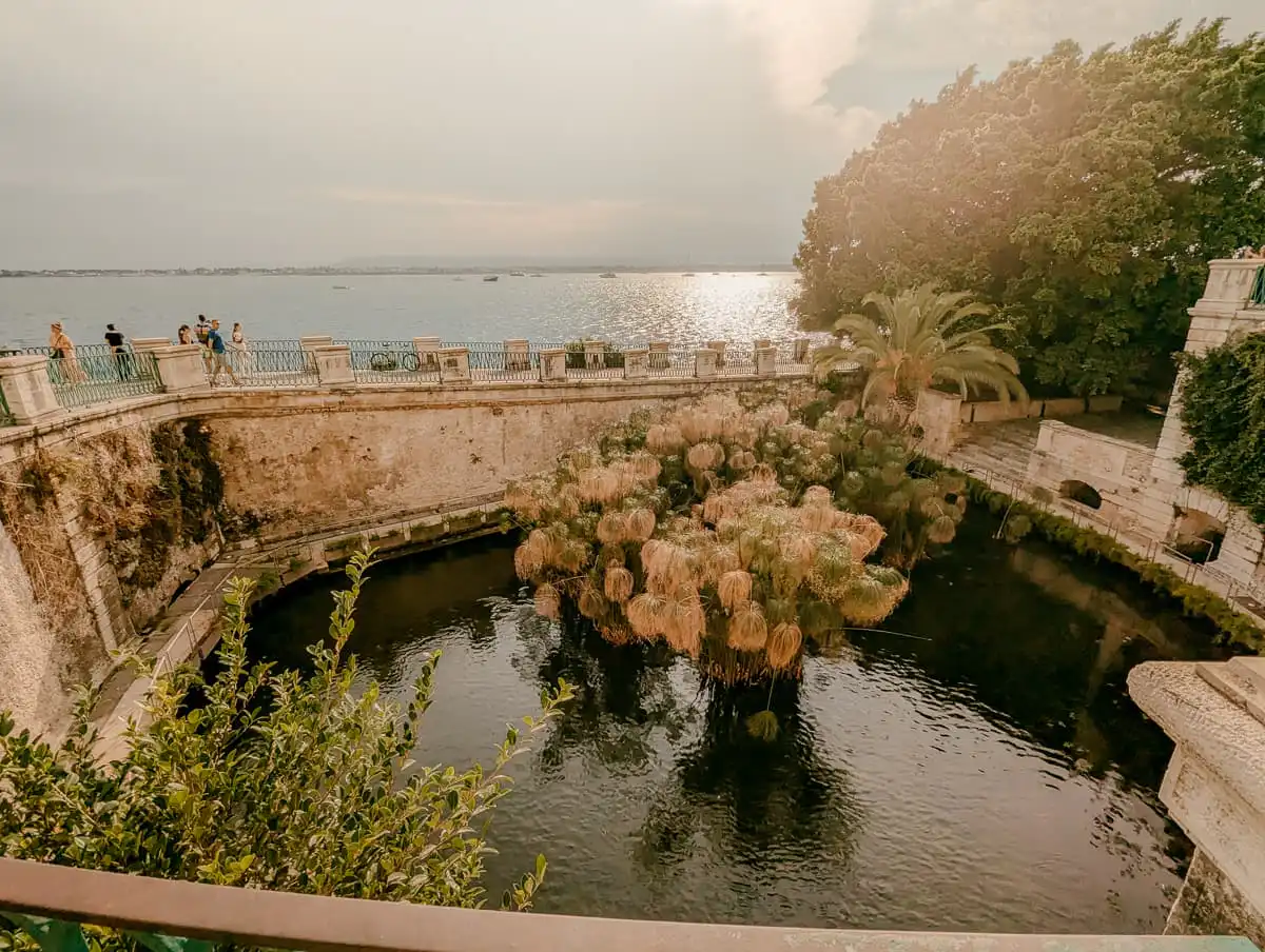 Aretusa Fountain in Syracuse Sicily
