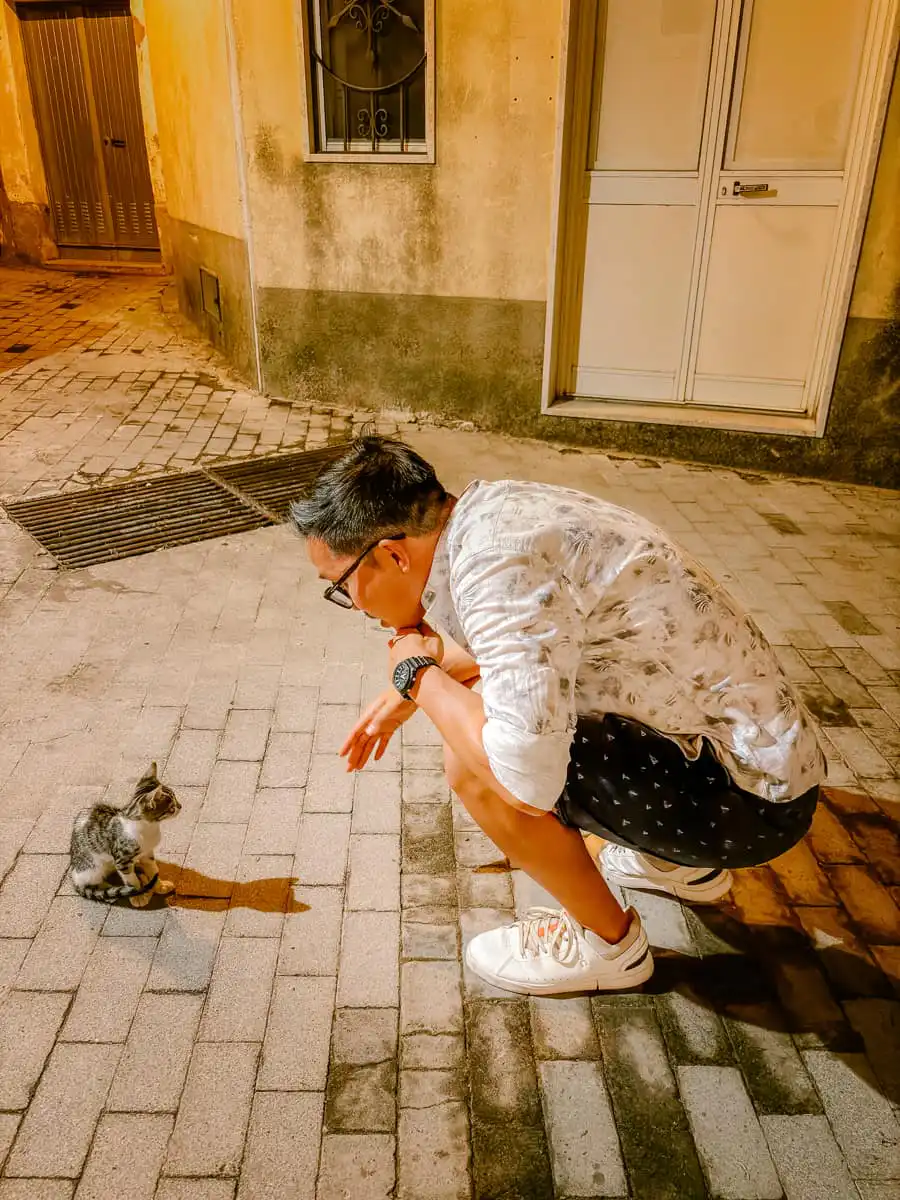 Playing with the cats in Ragusa