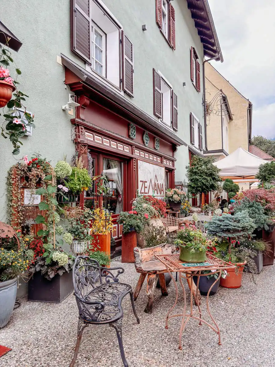 Garden and shop in town in Dolomites