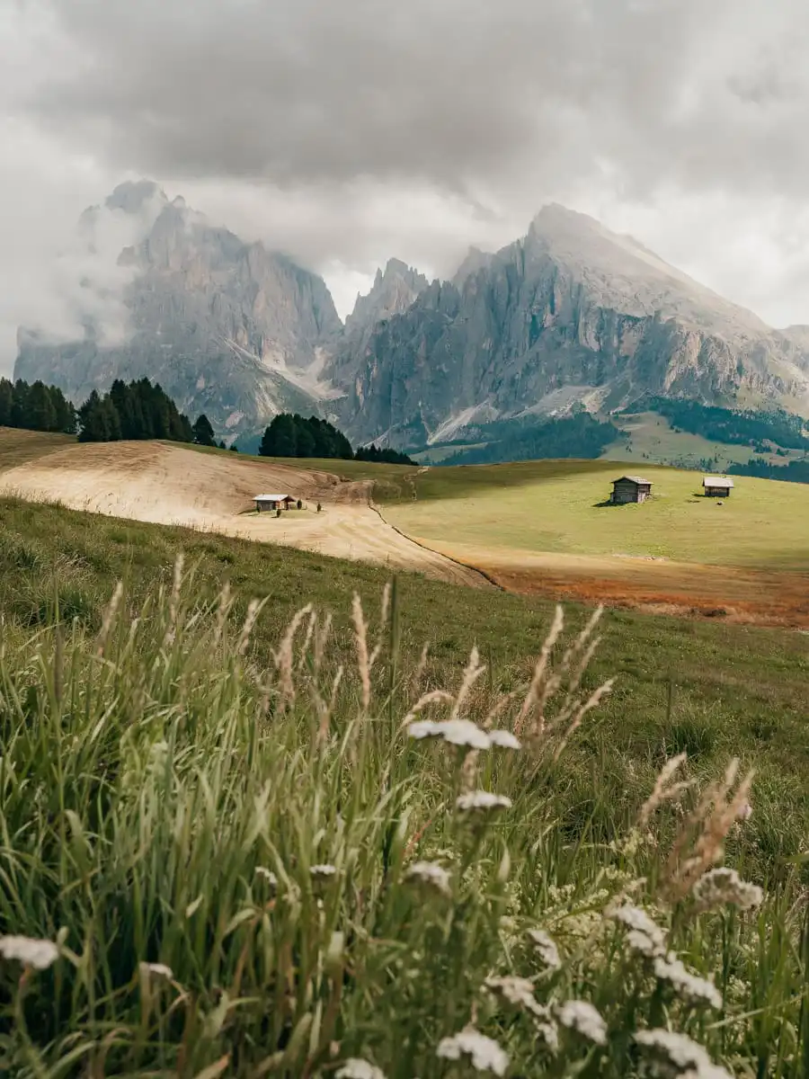 View of the grass and mountains in Alpe di Siusi