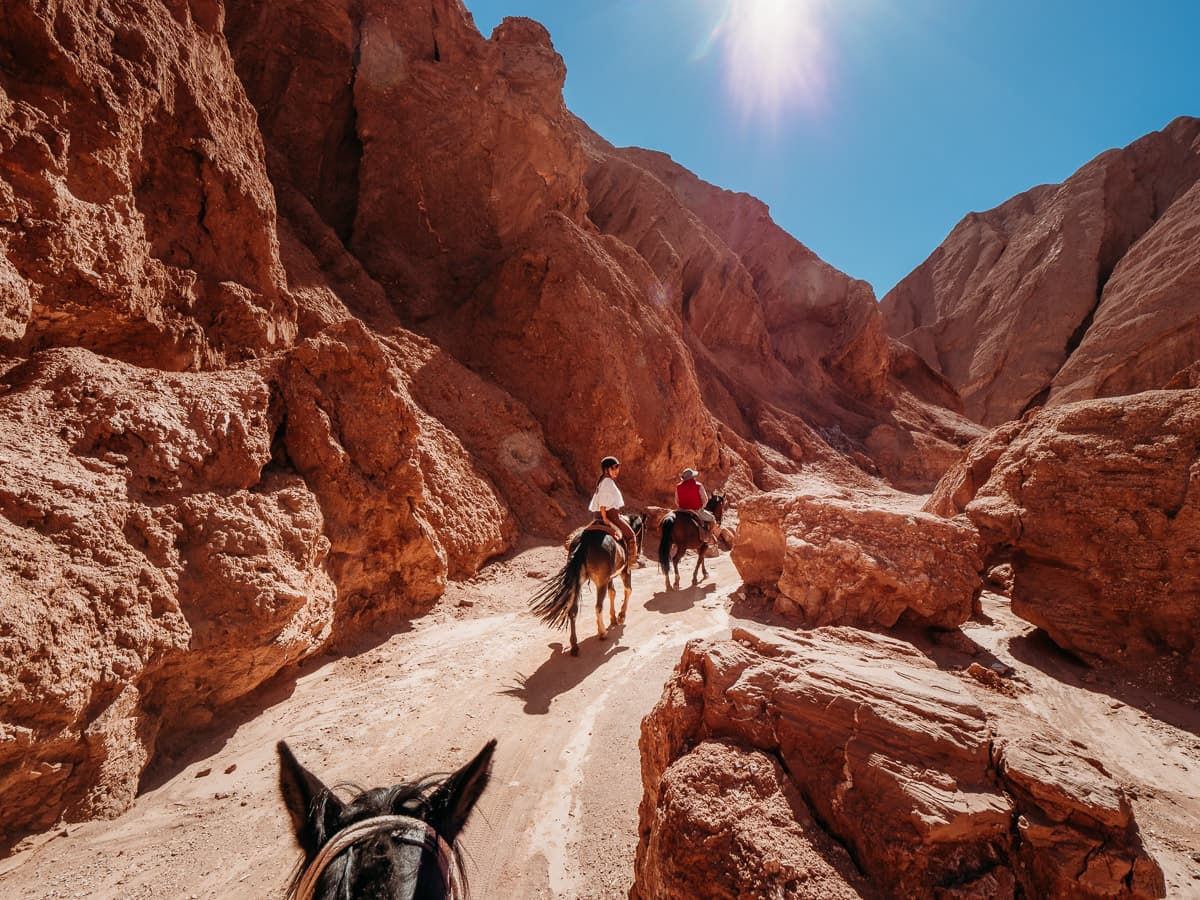 Horseback riding in the Atacama Desert