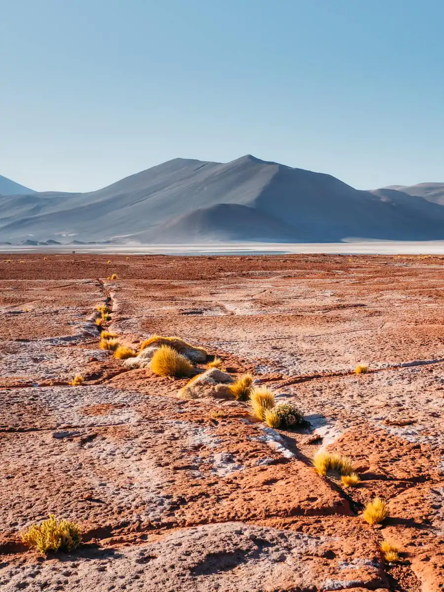 Amazing landscape in the atacama desert
