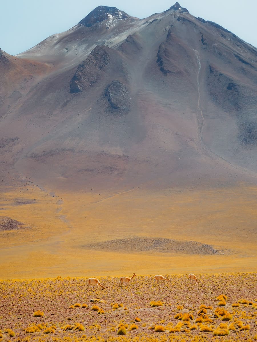 Volcano with red and black ash in Atacama Desert