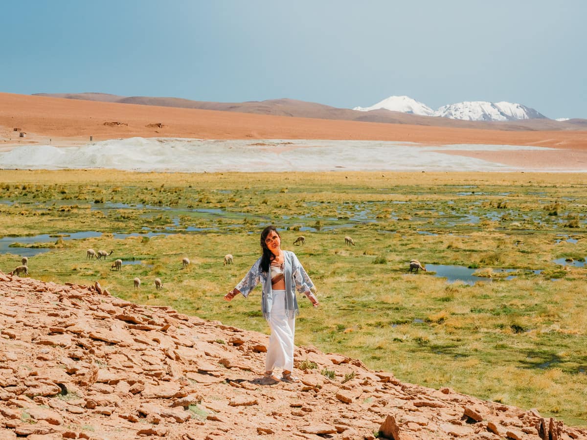 Standing in the wetlands of the Atacama Desert
