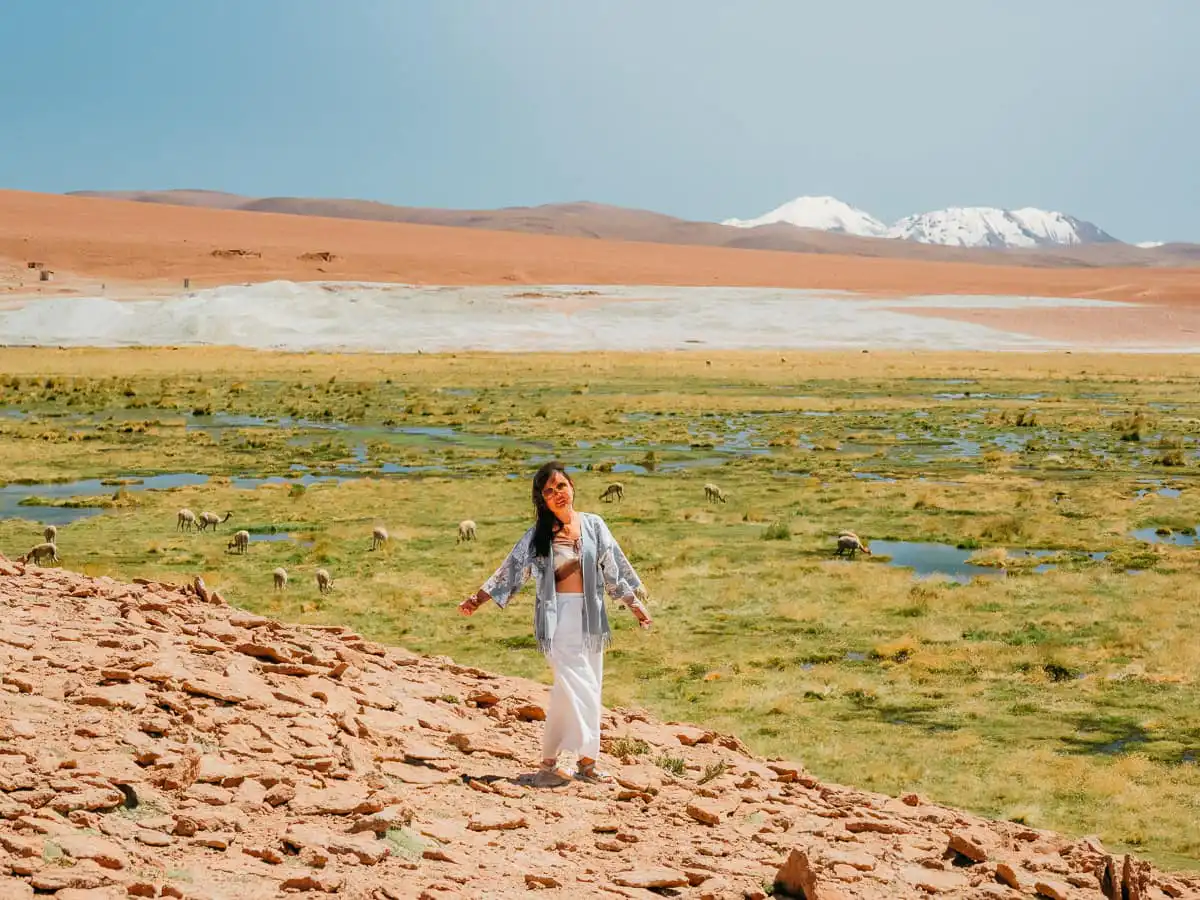 Standing in the wetlands of the Atacama Desert