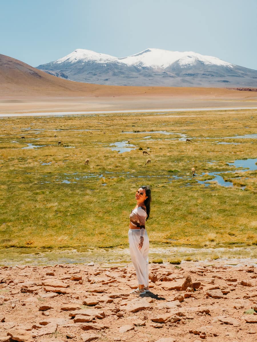 Standing in front of beautiful landscape in atacama desert