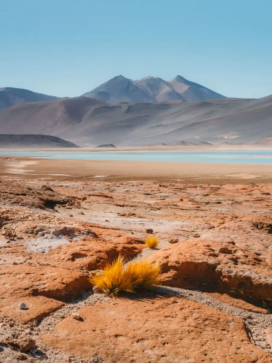 Landscape in Piedras Rojas in Atacama Desert