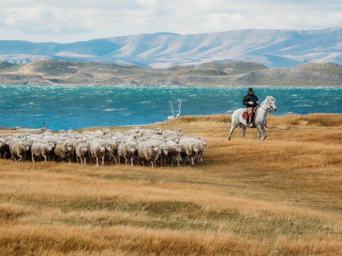 Estancia visit in Torres del Paine, one of the best alternative activities other day Torres del Paine day hikes