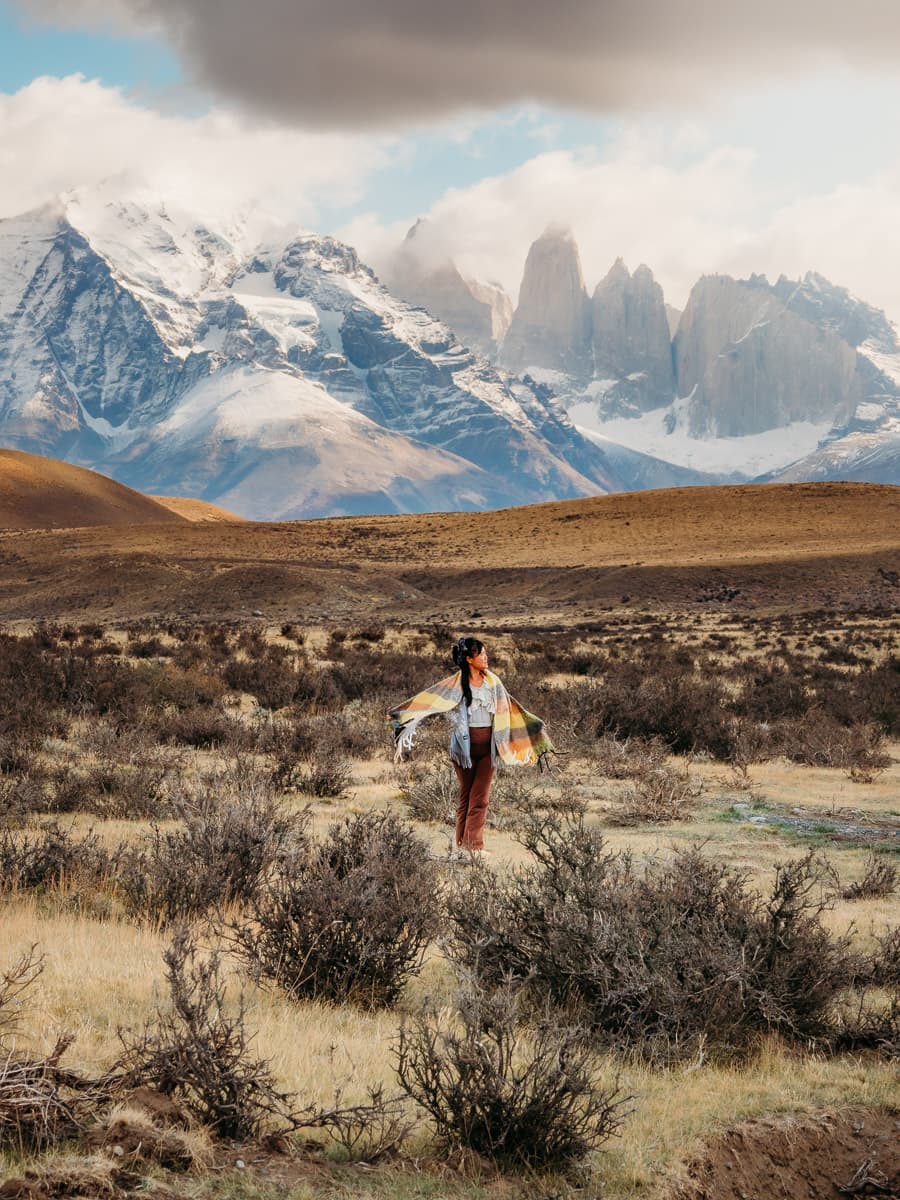 view of the bush and mountains on the side of the road when visit Torres del Paine
