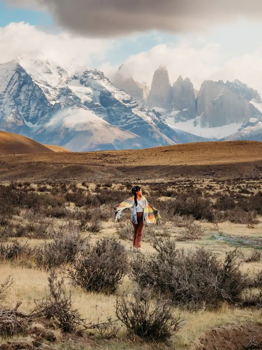 view of the bush and mountains on the side of the road when visit Torres del Paine