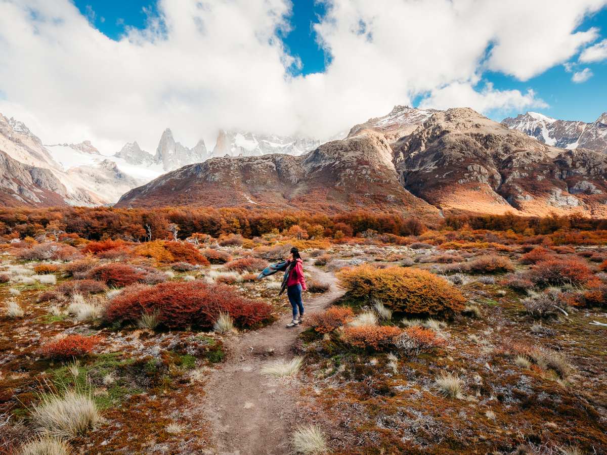 fall foliage in patagonia