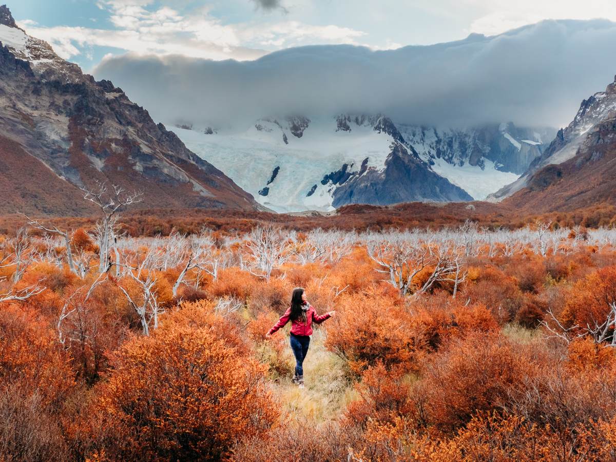 Standing in the red field fall foliage of Argentina Patagonia