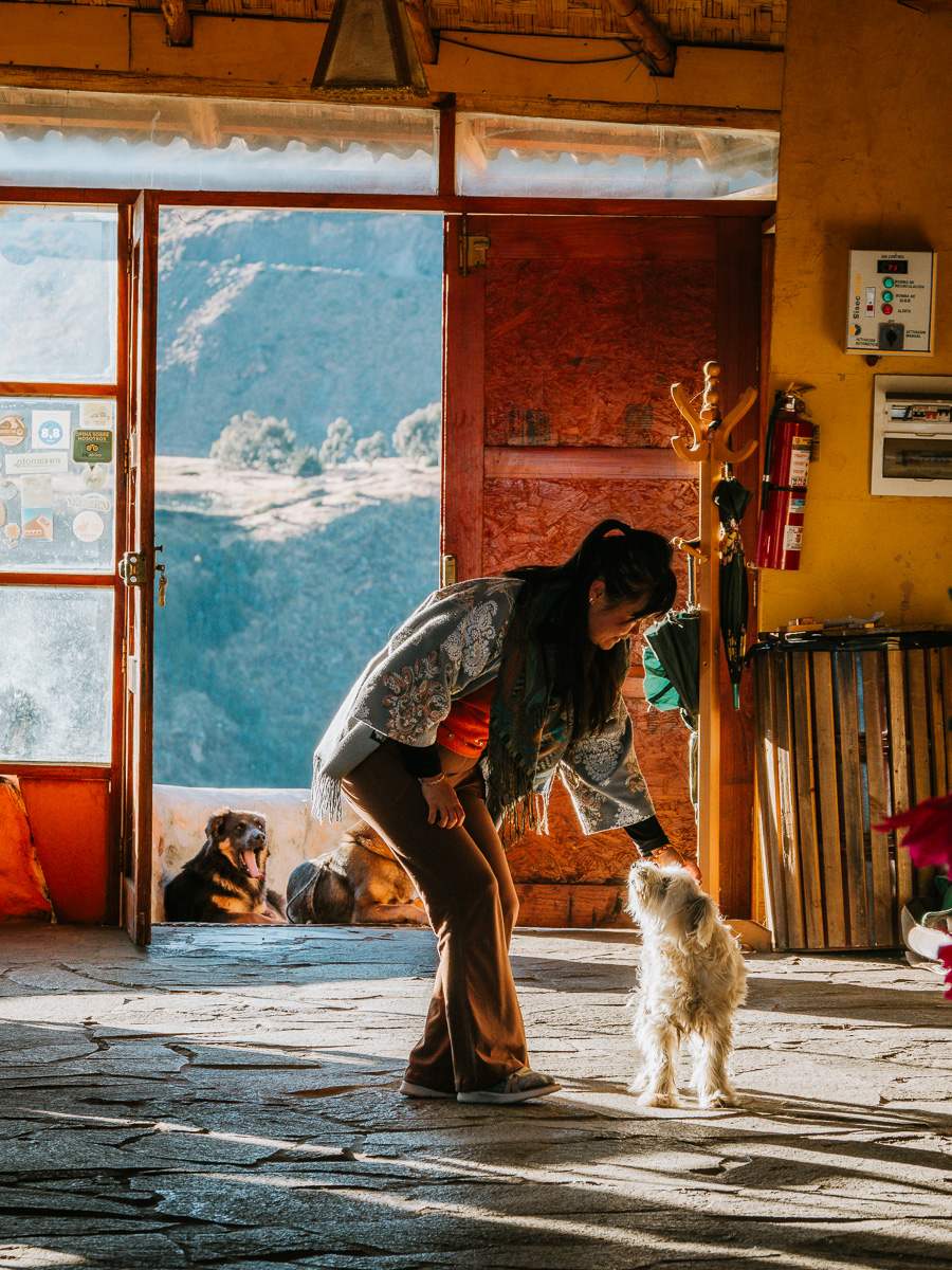 cute dog at La granja del Colca Lodge