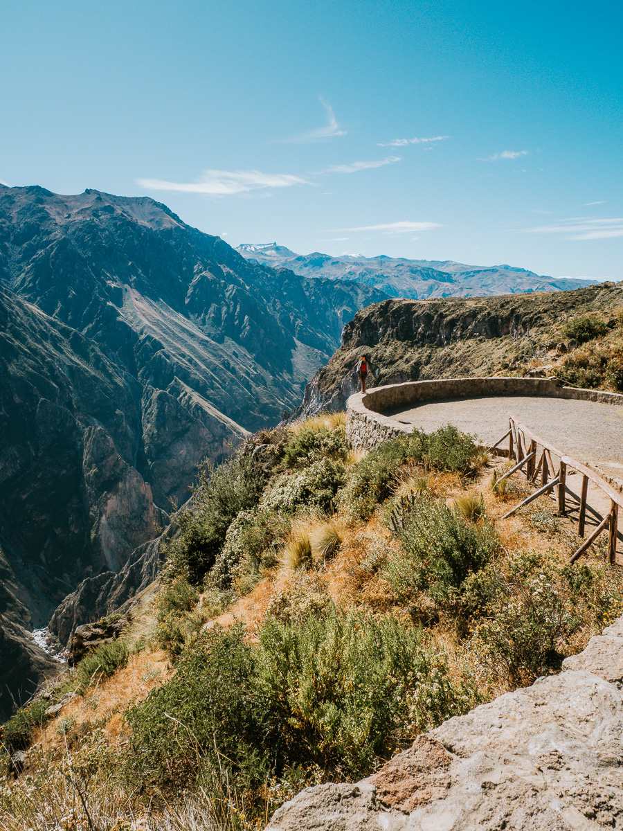 Condor Viewpoint