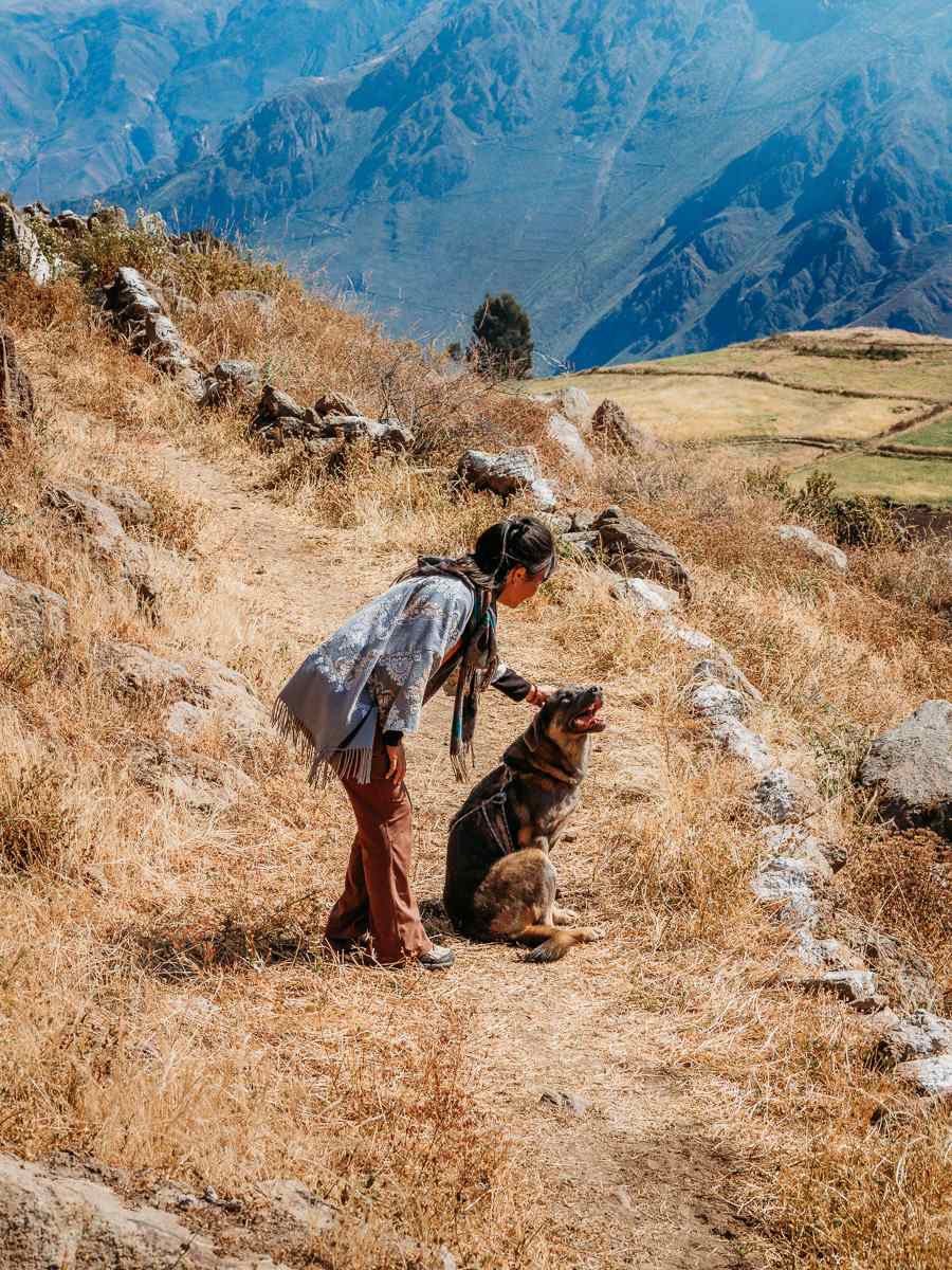 dog following us during our hike to the Condor Viewpoint in Colca Canyon